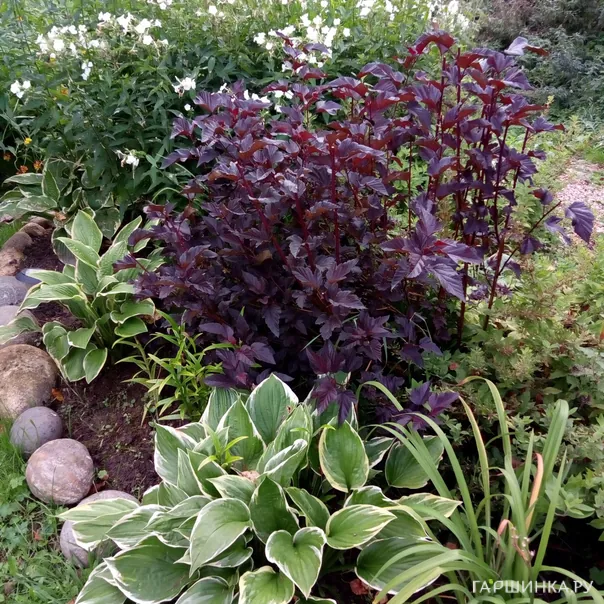 превью изображения отзыва