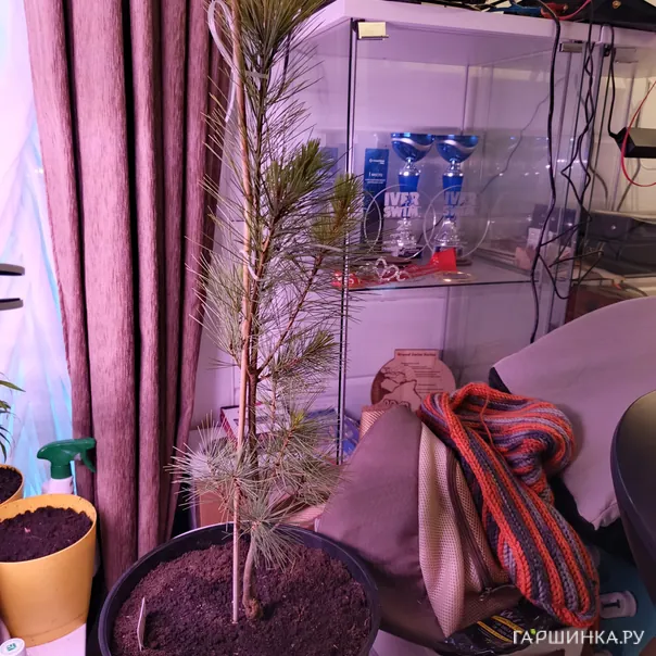 превью изображения отзыва