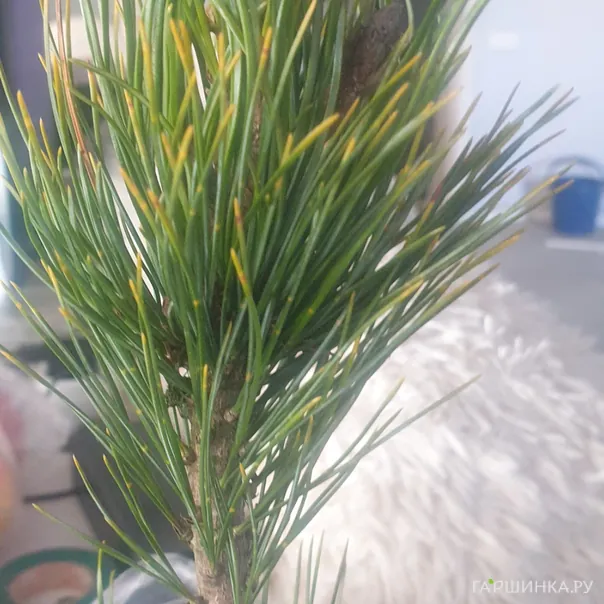 превью изображения отзыва