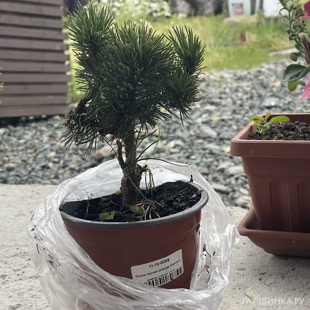 превью изображения отзыва