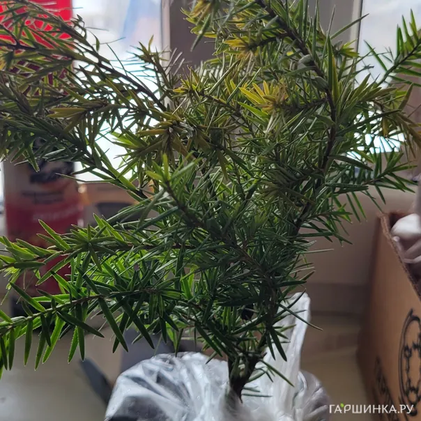 превью изображения отзыва