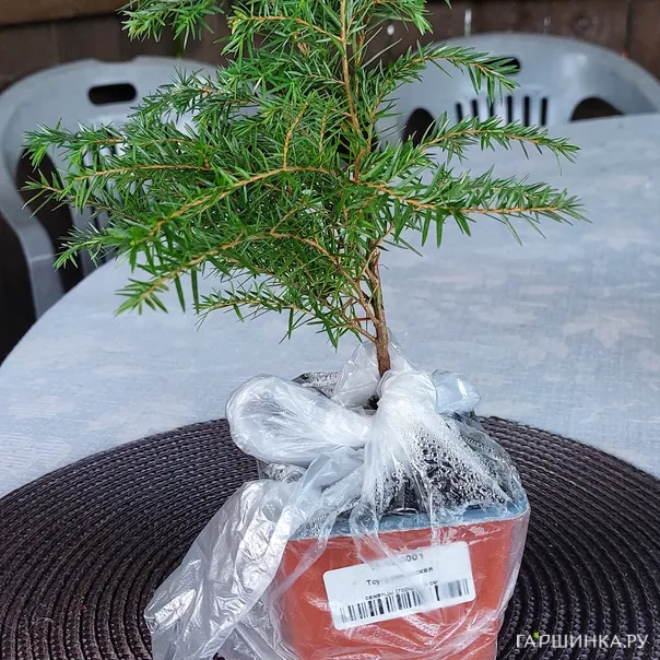 превью изображения отзыва