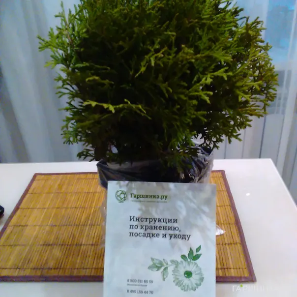 превью изображения отзыва