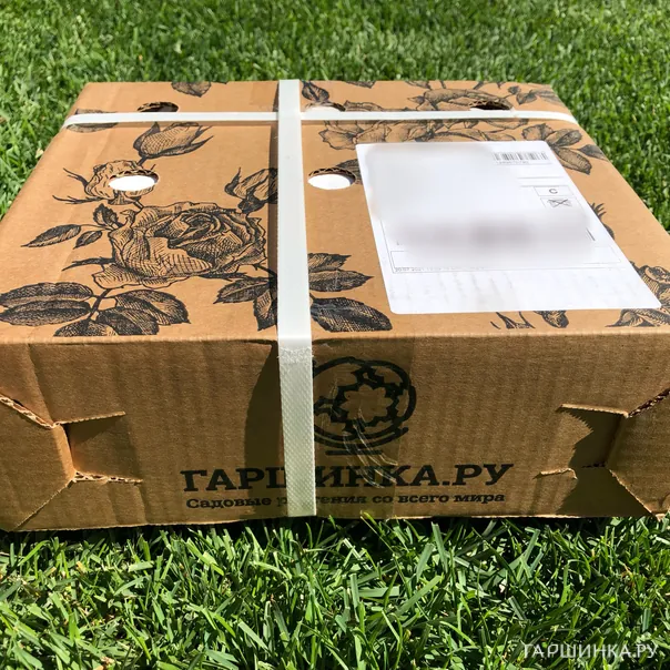 превью изображения отзыва