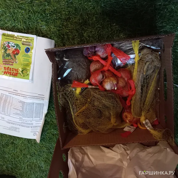 превью изображения отзыва