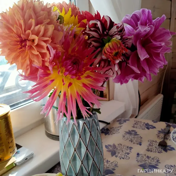 превью изображения отзыва