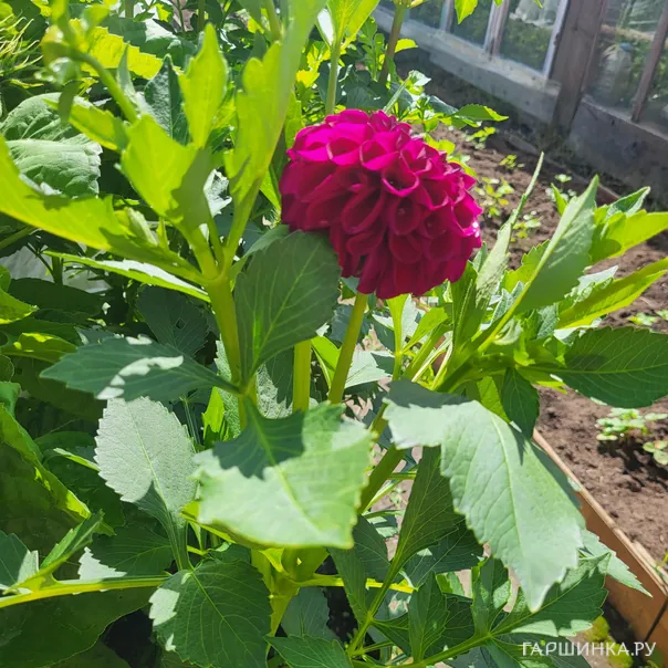 превью изображения отзыва