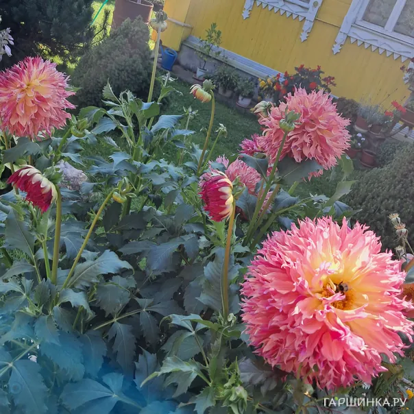 превью изображения отзыва