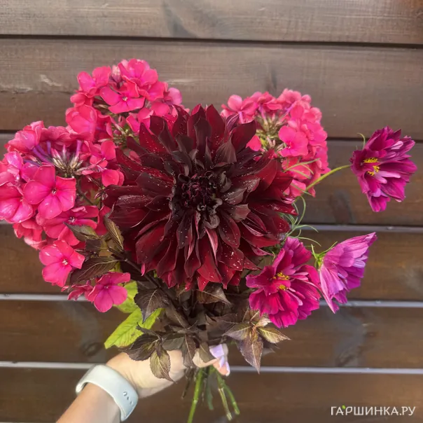 превью изображения отзыва