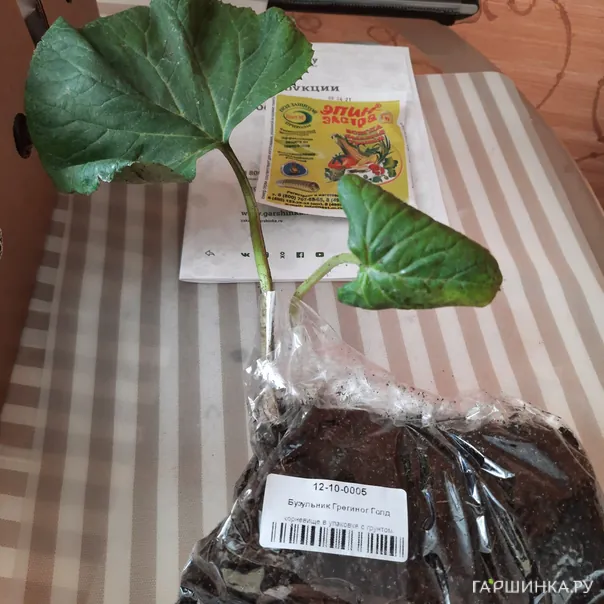 превью изображения отзыва