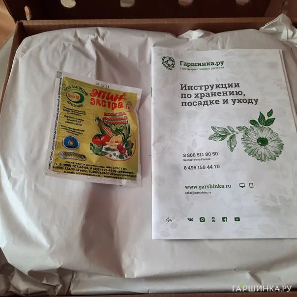 превью изображения отзыва