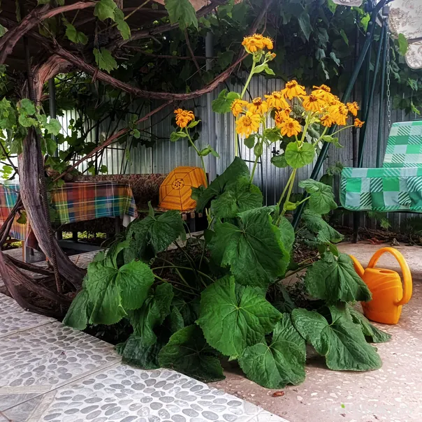 превью изображения отзыва