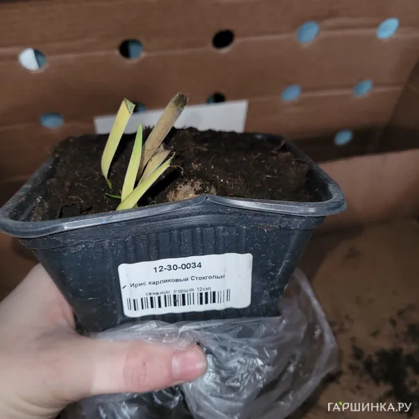 превью изображения отзыва