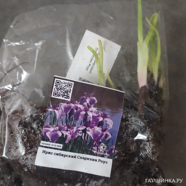 превью изображения отзыва