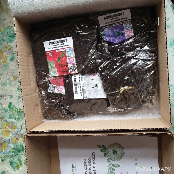 превью изображения отзыва