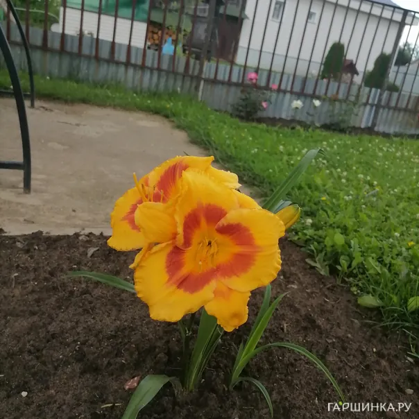 превью изображения отзыва