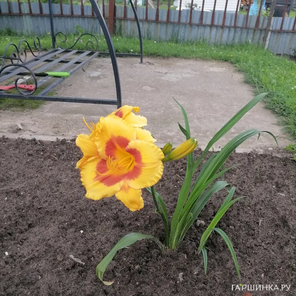 превью изображения отзыва