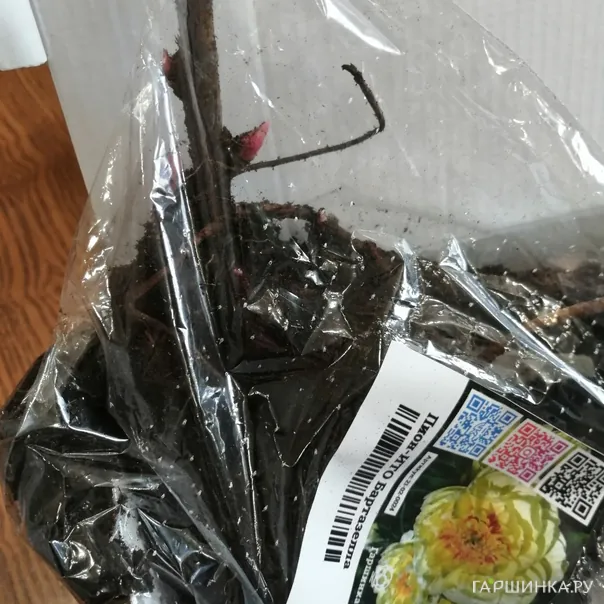 превью изображения отзыва