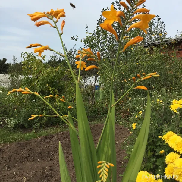 превью изображения отзыва