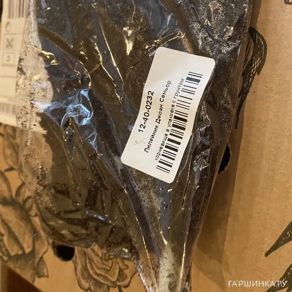 превью изображения отзыва