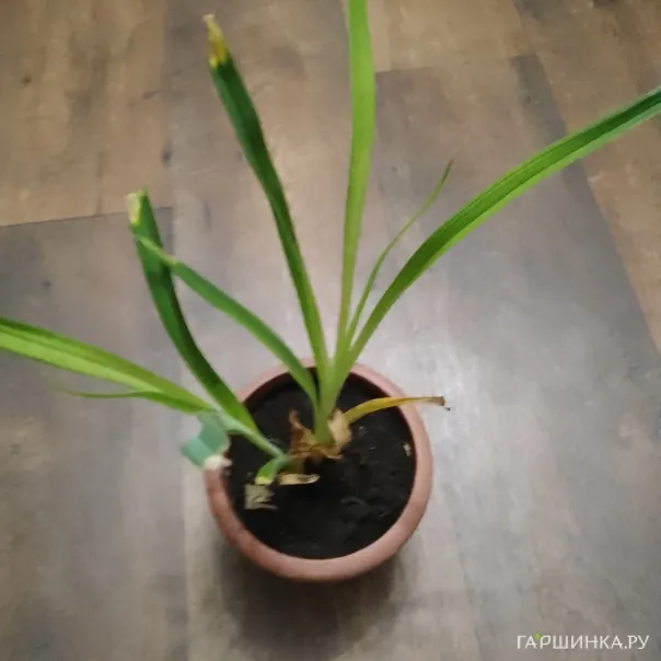 превью изображения отзыва