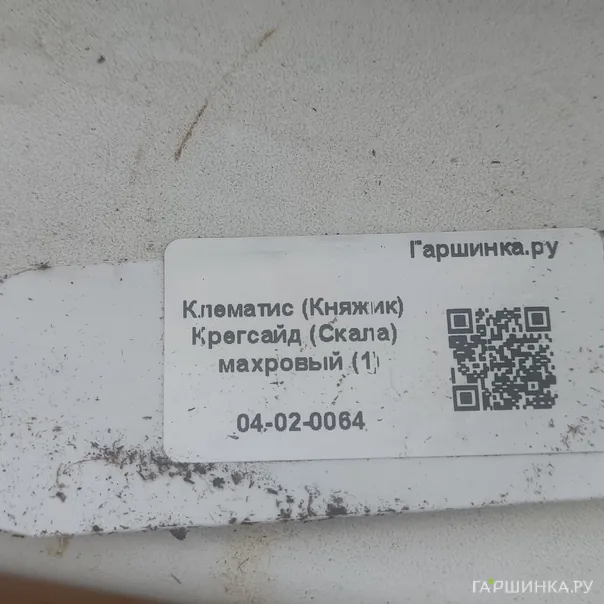 превью изображения отзыва