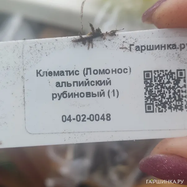 превью изображения отзыва