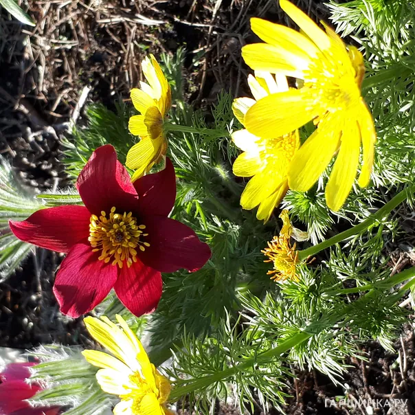 превью изображения отзыва