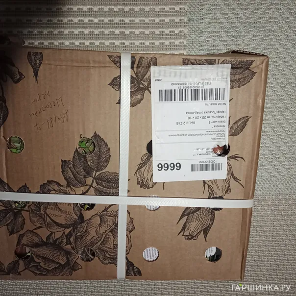 превью изображения отзыва