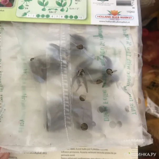 превью изображения отзыва