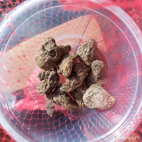 превью изображения отзыва