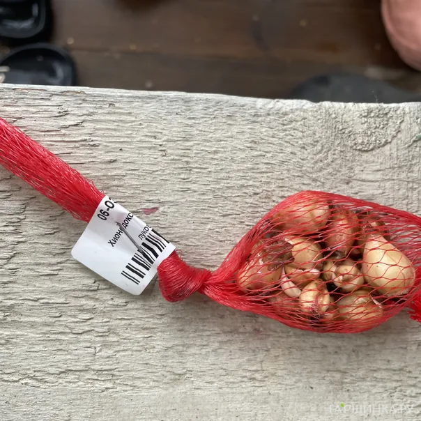 превью изображения отзыва