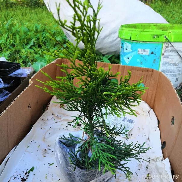 превью изображения отзыва