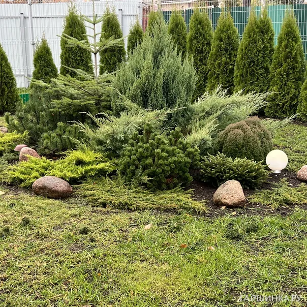 превью изображения отзыва