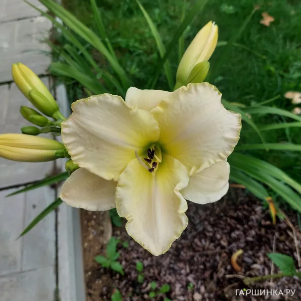 превью изображения отзыва