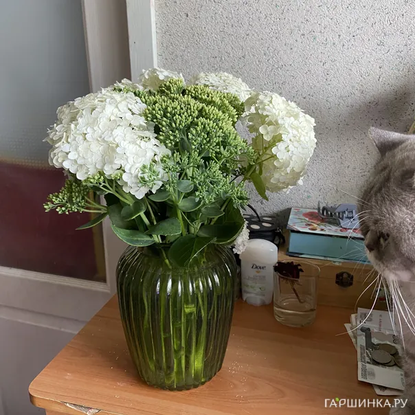 превью изображения отзыва