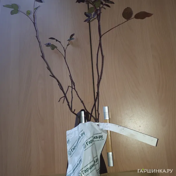 превью изображения отзыва