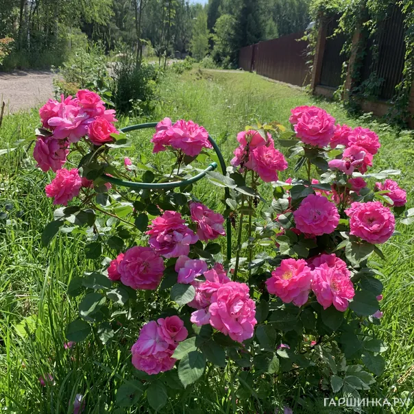 превью изображения отзыва