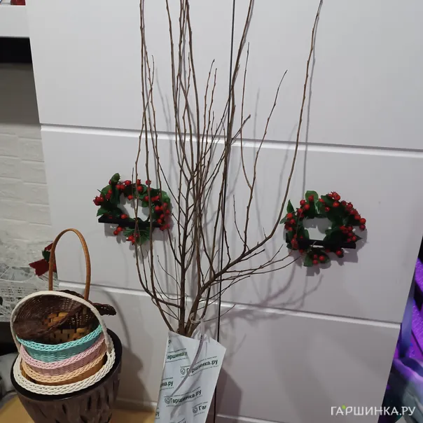 превью изображения отзыва