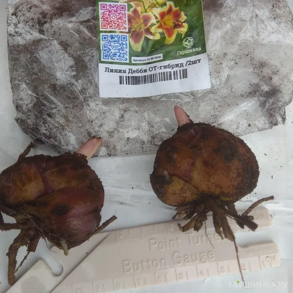 превью изображения отзыва