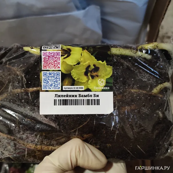 превью изображения отзыва