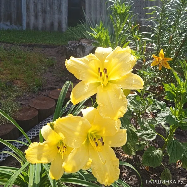 превью изображения отзыва
