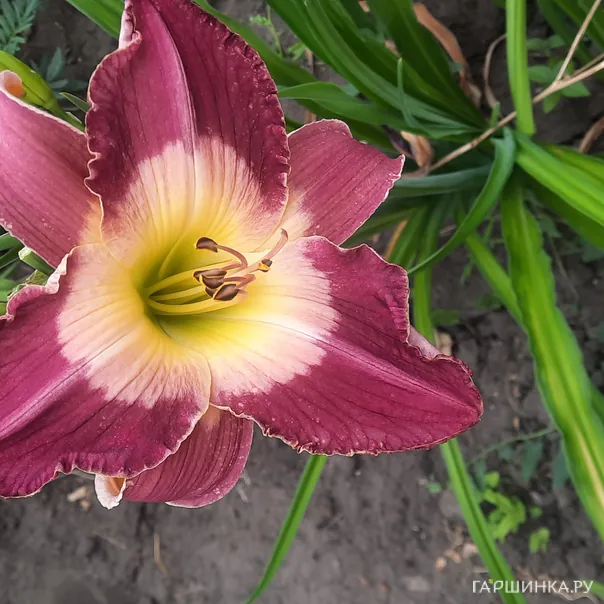 превью изображения отзыва