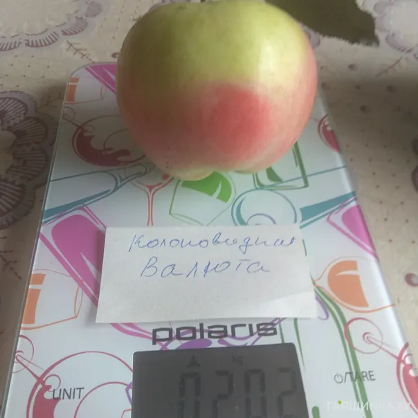 превью изображения отзыва