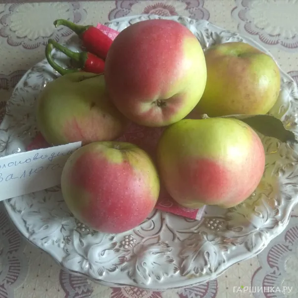 превью изображения отзыва