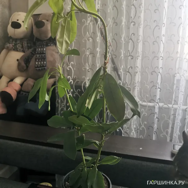 превью изображения отзыва