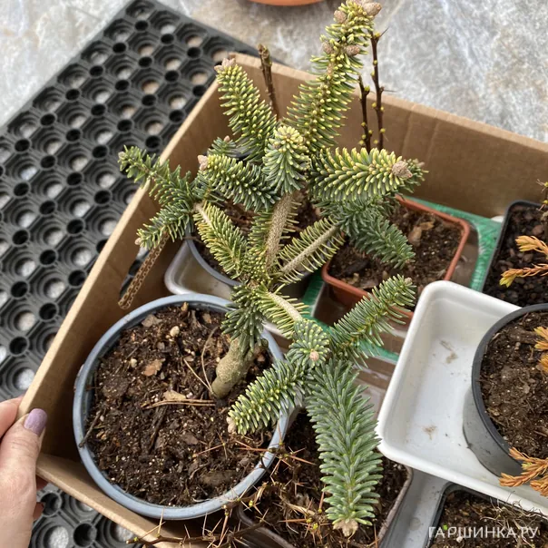 превью изображения отзыва