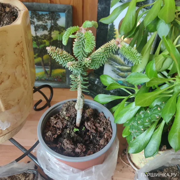 превью изображения отзыва