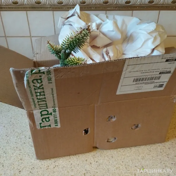 превью изображения отзыва