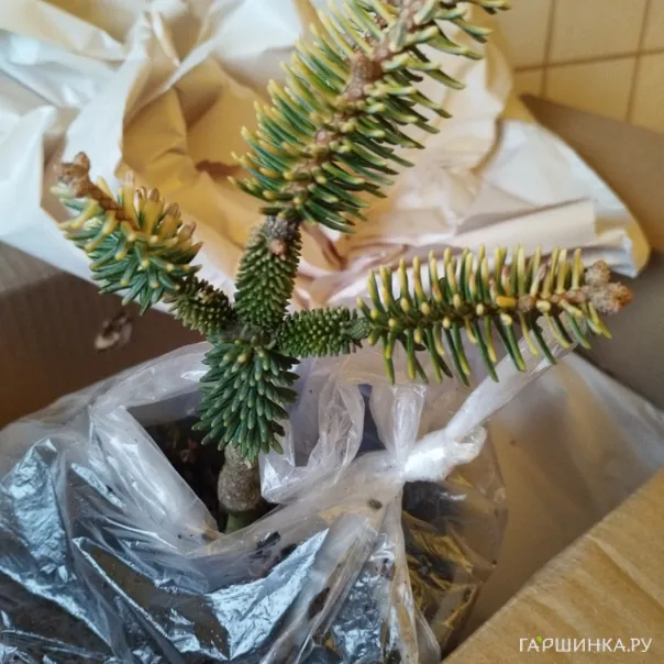 превью изображения отзыва